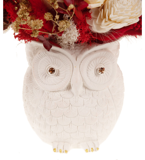 Composition of stabilized flowers and dried flowers Fiery owl – photo #3