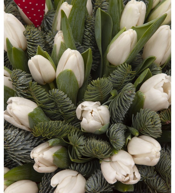 Bouquet-solo of white tulips (15,25,35,51,75,101 or 151) – photo #2