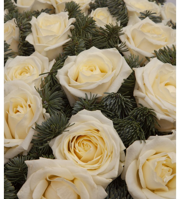 Solo-bouquet of white roses (15,25,35,51,75 or 101) – photo #3