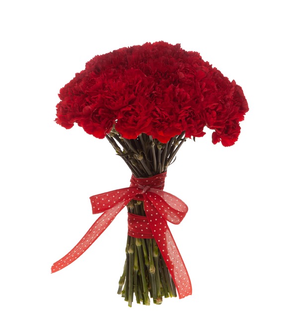 Bouquet-solo of red carnations (15,25,35,51,75 or 101) – photo #4