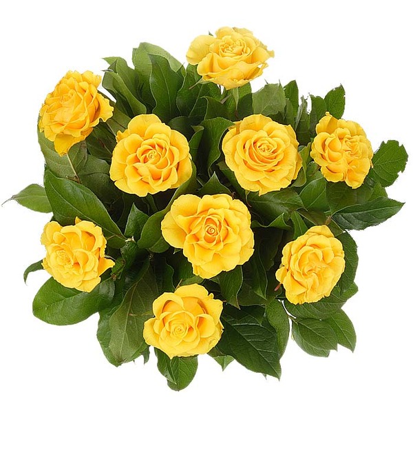 Букет из 9 желтых роз Солнечное затмение – фото № 3