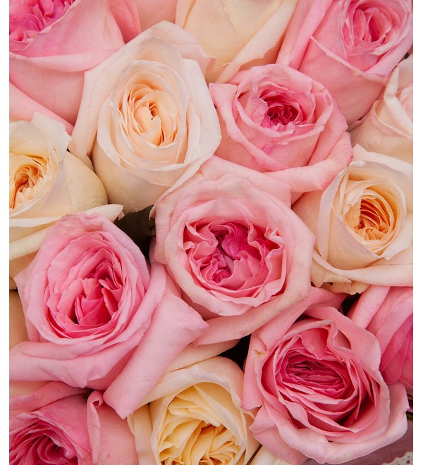 Букет-дуэт ароматных роз O Hara (15,25,35,51,75 или 101) – фото № 2