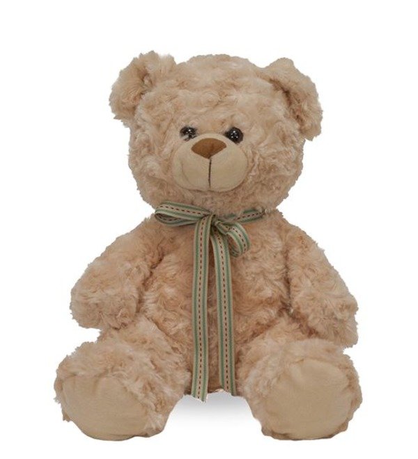 Teddy TS3 TAM – photo #1