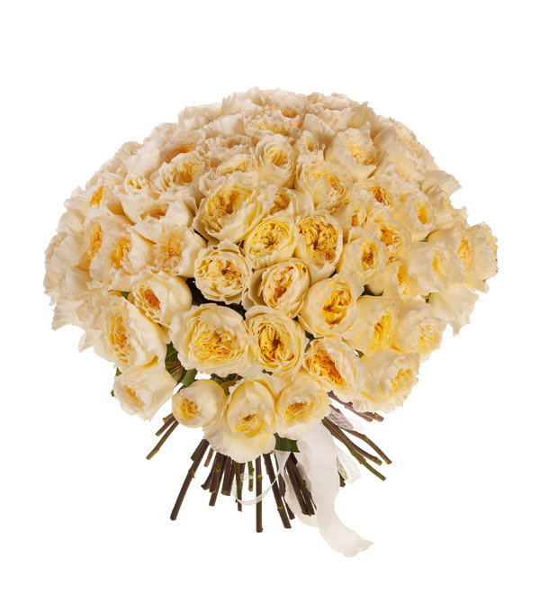 Bouquet-solo of David Austin Patience Rose (75,101,151 or 201) – photo #5