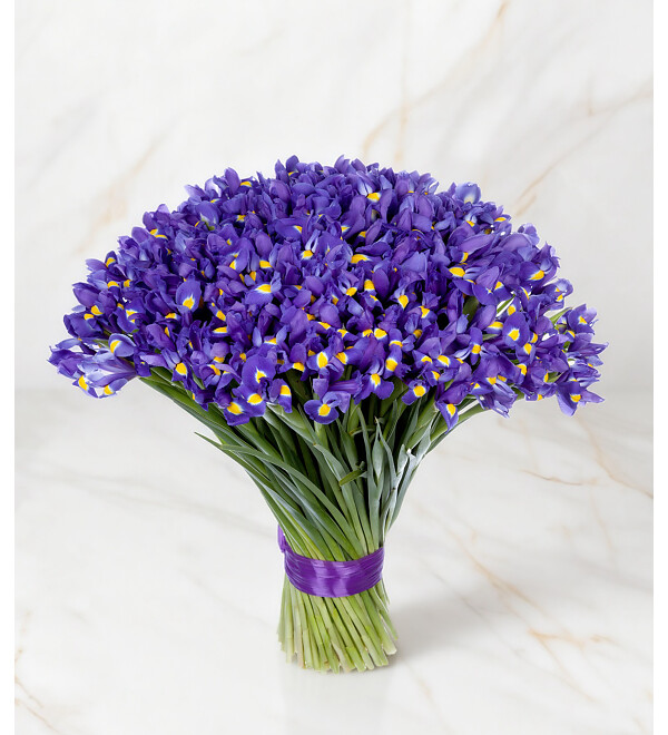 Bouquet-solo Blue irises (51,75,101 or 151) – photo #4
