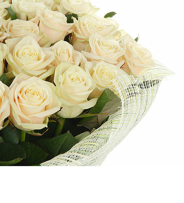 Букет из 51 кремовой розы Гармония в любви AT BR102 KRE – фото № 5