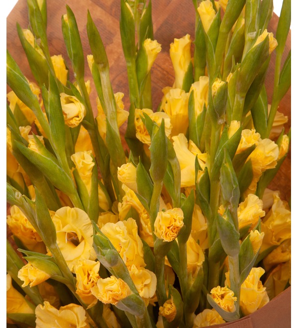 Букет-соло жёлтых гладиолусов (5,7,9,15,25 или 35) – фото № 3