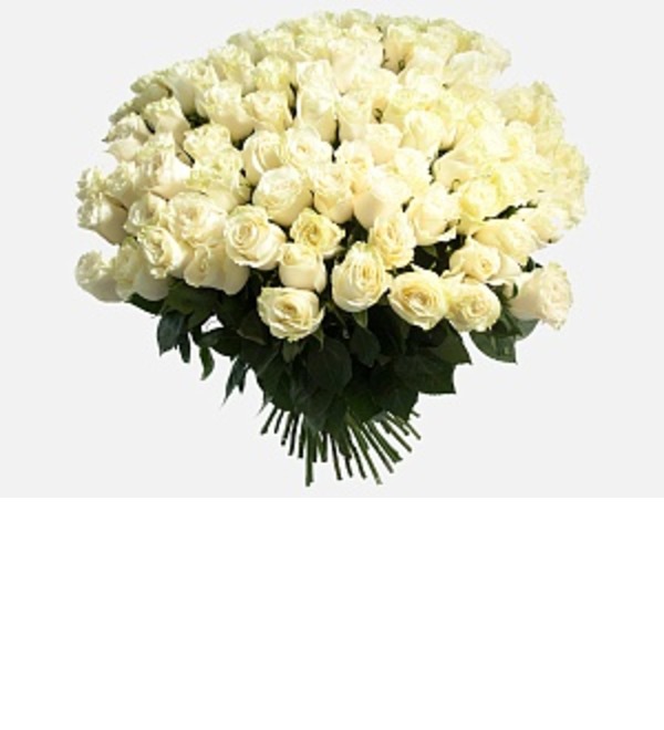Букет из 101 белой розы 80 см. KZRB101 AKT – фото № 1