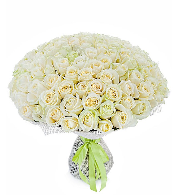 Букет из 101 белой розы Белое солнце UK BR202 BRA – фото № 1