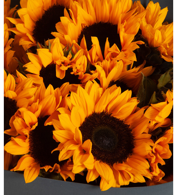 Bouquet-solo sunflowers (9,15,25,35 or 51) – photo #3