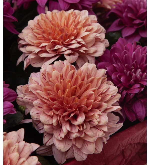 Bouquet-duet of chrysanthemums Notes of Autumn (15,21,35,51 or 75) – photo #2