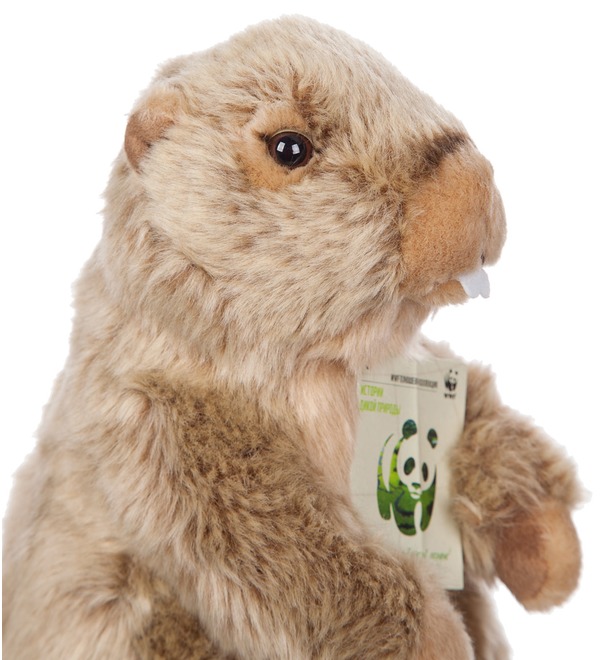 Soft toy Groundhog WWF (23 cm) – photo #2