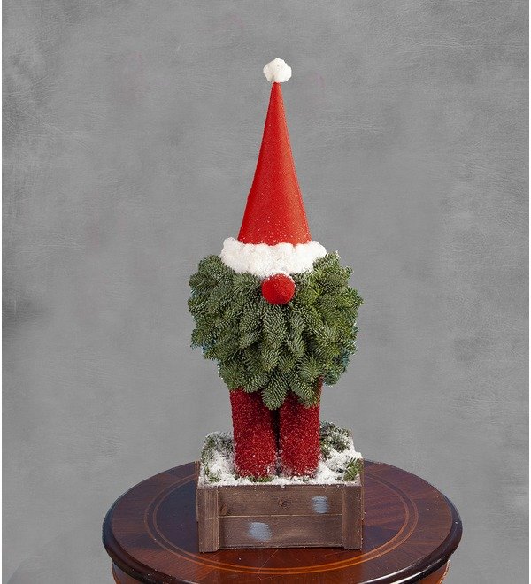 Composition Christmas Gnome – photo #1