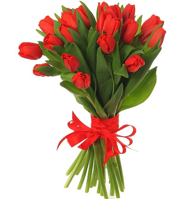 Букет из 21 красного тюльпана ABN1104 SAN – фото № 2