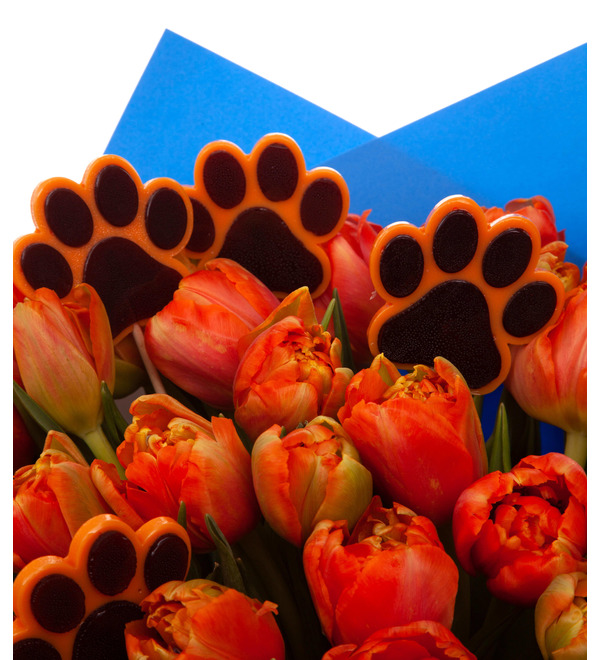 Букет-соло тюльпанов Лапки (15,25,35,51,75 или 101) – фото № 2