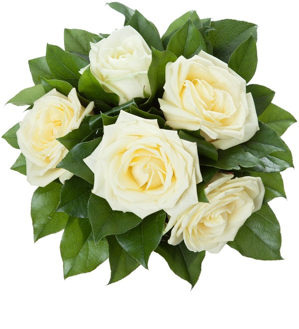 Bouquet of 5 white roses RBR112 JON – photo #4