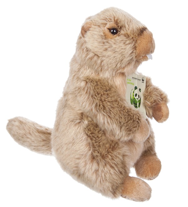 Soft toy Groundhog WWF (23 cm) – photo #4