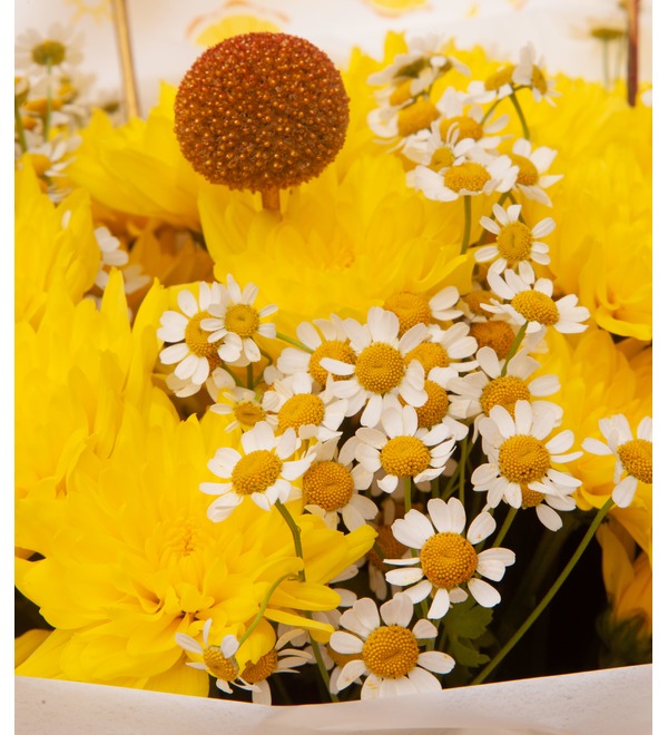 Bouquet-trio Sun – photo #3