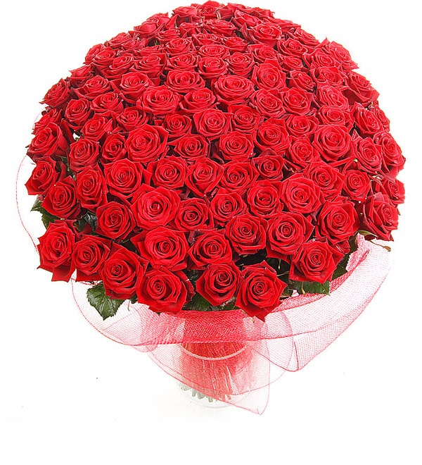 Букет из 101 красной розы Песня о счастье BR110 SAN – фото № 4