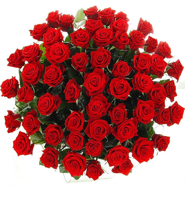 Букет из 51 красной розы Больше, чем любовь... – фото № 2