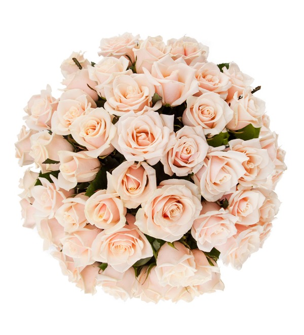 Букет из кремовой розы Гармония в любви (25, 51 или 101) BR102 PSE – фото № 3