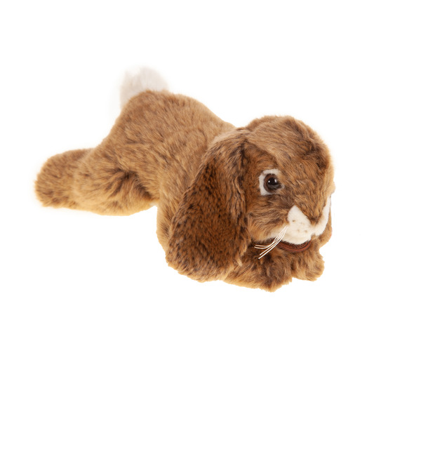 Мягкая игрушка Кролик Милашка (25 см) – фото № 1