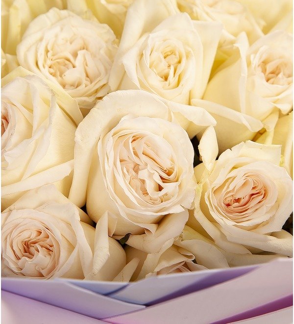 Букет-соло ароматных роз White OHara (15,25,35,51,75 или 101) – фото № 2
