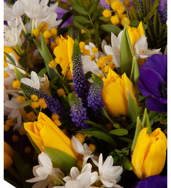 Bouquet-orchestra March Surprise – photo #3