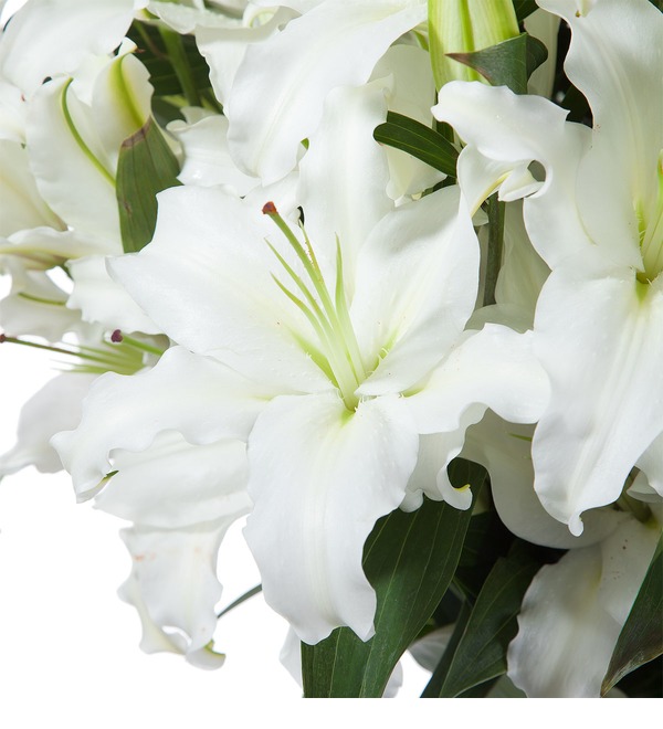 Bouquet of lilies – photo #3