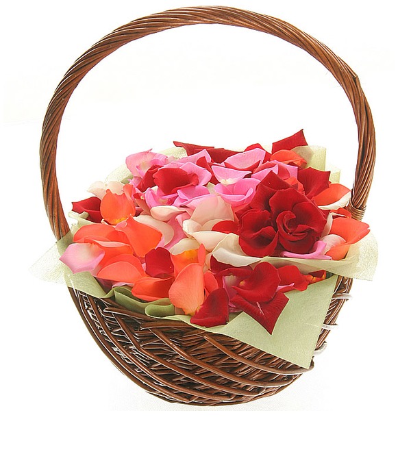 Лепестки разноцветных роз В знак восхищения! PMX1 SAN – фото № 2