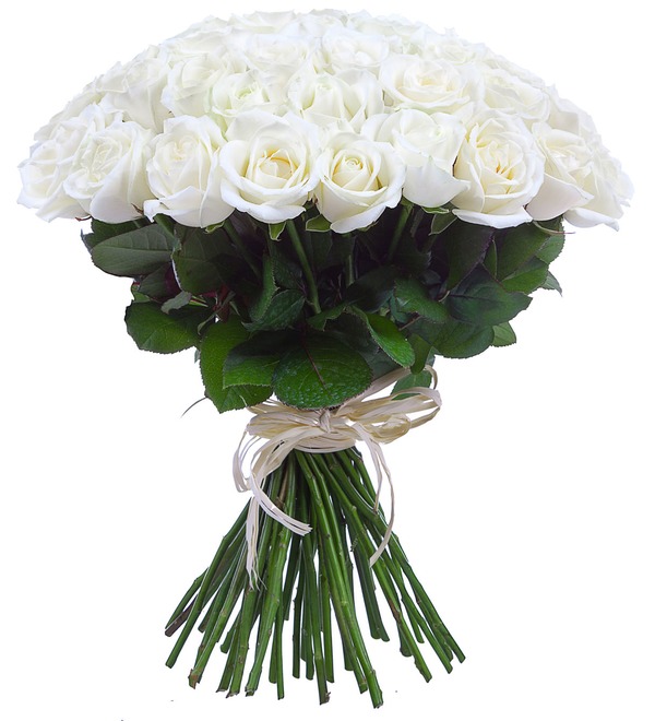 Букет из белых роз (9,15,25,35,51,75 или 101) – фото № 2