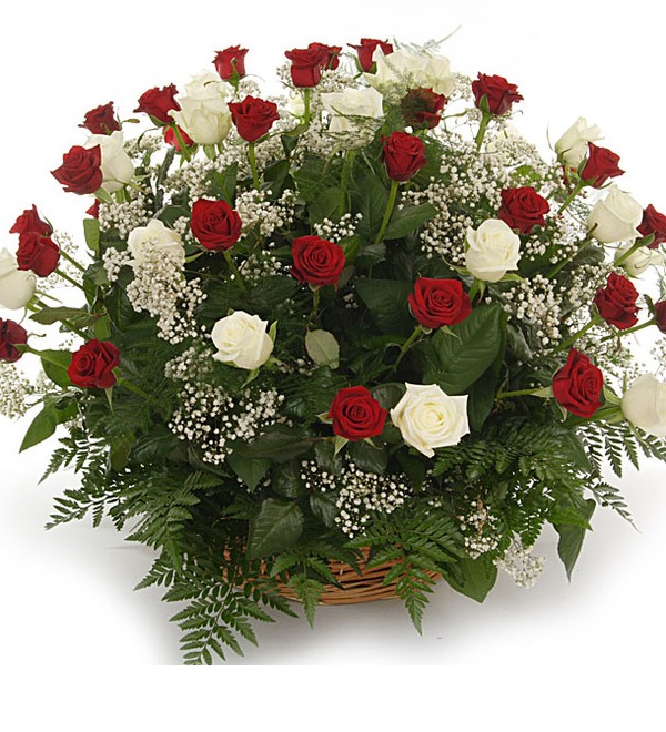 Rose Arrangement CY AR602 – photo #1