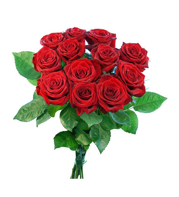12 красных роз BC02085 KAR – фото № 2