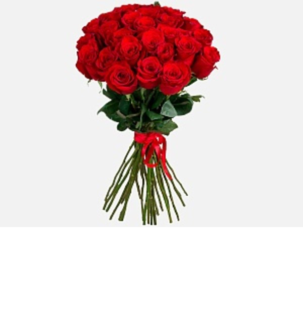 Букет из 25 красных роз высотой 80 см. KZRK25 KYZ – фото № 1