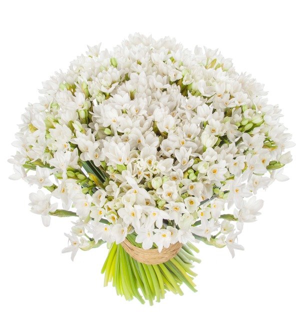 Bouquet of white bush daffodils (25, 51 or 101) – photo #4