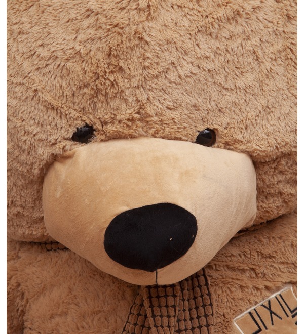 Soft toy Venya Bear (120 cm) – photo #3