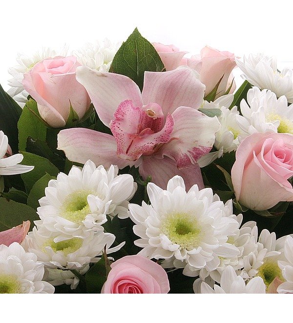 Bouquet Air Kiss UA KIBE330 GEO – photo #5