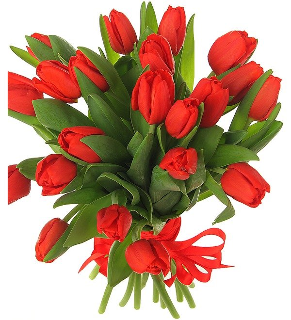 Букет из 21 красного тюльпана ABN1104 BRA – фото № 3