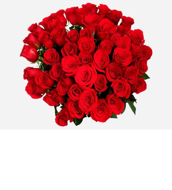 Букет из 51 красной розы высотой 80 см. KZRK51 SEM – фото № 2