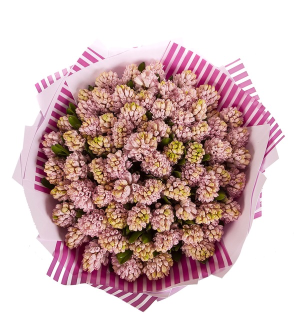 Bouquet-solo Pink hyacinths (15,25,51 or 75) – photo #4