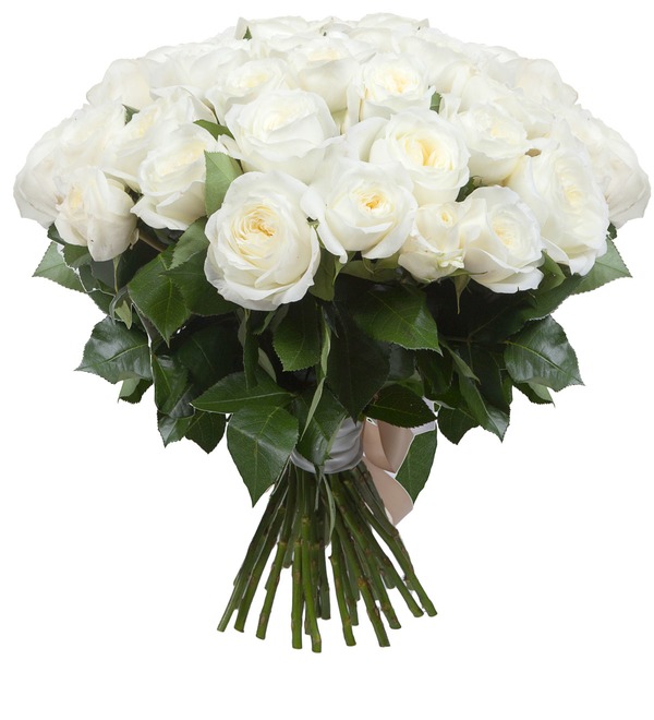 Букет-соло роз Alabaster (15,25,35,51,75 или 101) – фото № 2