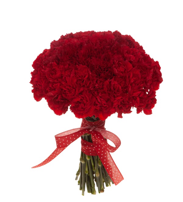 Bouquet-solo of red carnations (15,25,35,51,75 or 101) – photo #5