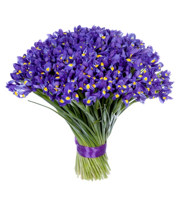 Bouquet-solo Blue irises (51,75,101 or 151) – photo #5