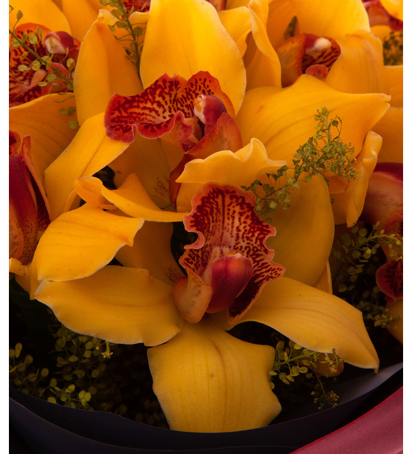 Букет-соло жёлтых орхидей (15,25,35,51,75 или 101) – фото № 3