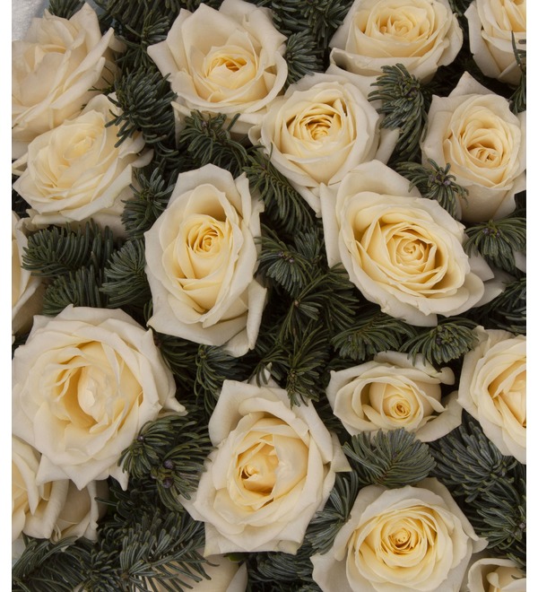 Solo-bouquet of white roses (15,25,35,51,75 or 101) – photo #2