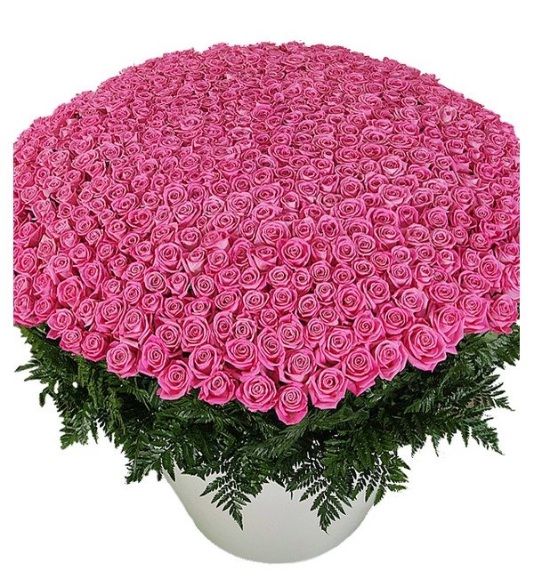 Композиция из 501 розовой розы Самой любимой RUAR639 LIM – фото № 3