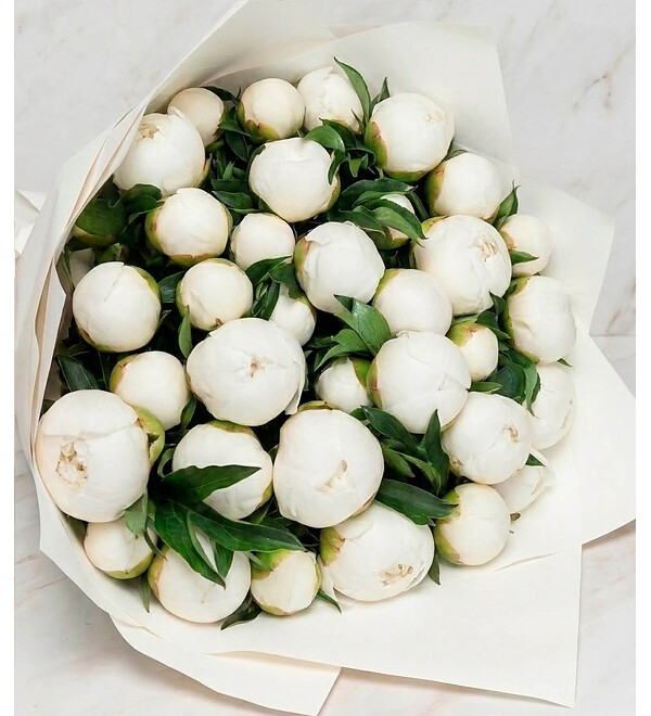Bouquet of peonies Duchesse De Nemours (15, 31 or 61 peony) – photo #1