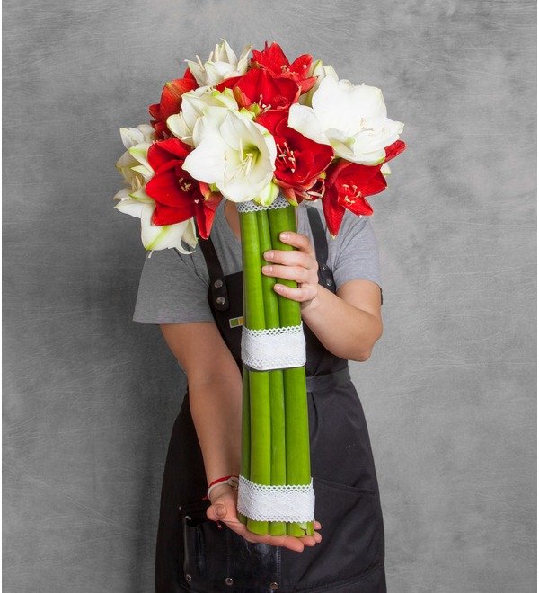 Bouquet of multi-colored amaryllis (5, 7 or 9) – photo #1