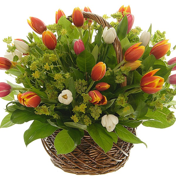 Композиция из 25 тюльпанов Самой восхитительной UA AT700 SLA – фото № 1
