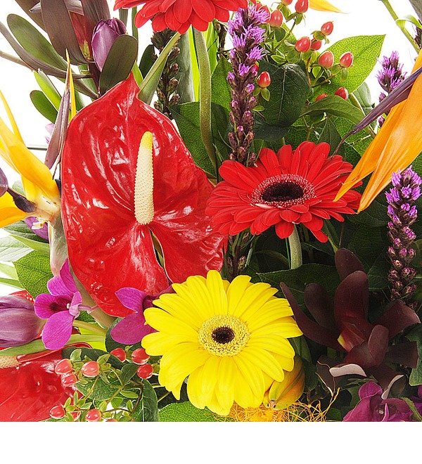 Flower arrangement BB AE812 PRA – photo #4